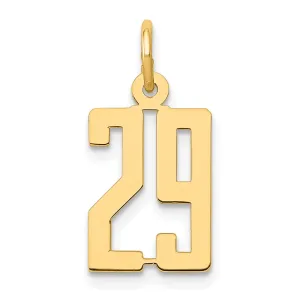 14K Yellow Gold Polished Finish Small Size Elongated Shape Number 29 Charm Pendant