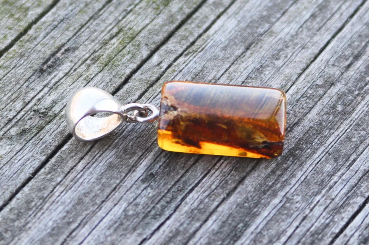 Baltic Amber Pendant Plant Fossil Insect Honey Natural Untreated 1.27" 2.3 gram 925 Silver