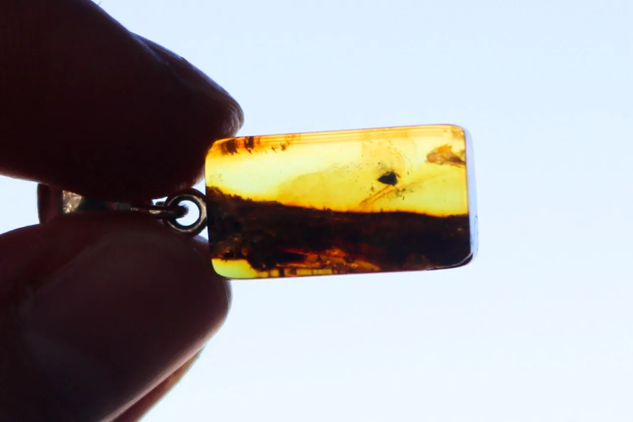 Baltic Amber Pendant Plant Fossil Insect Honey Natural Untreated 1.27" 2.3 gram 925 Silver