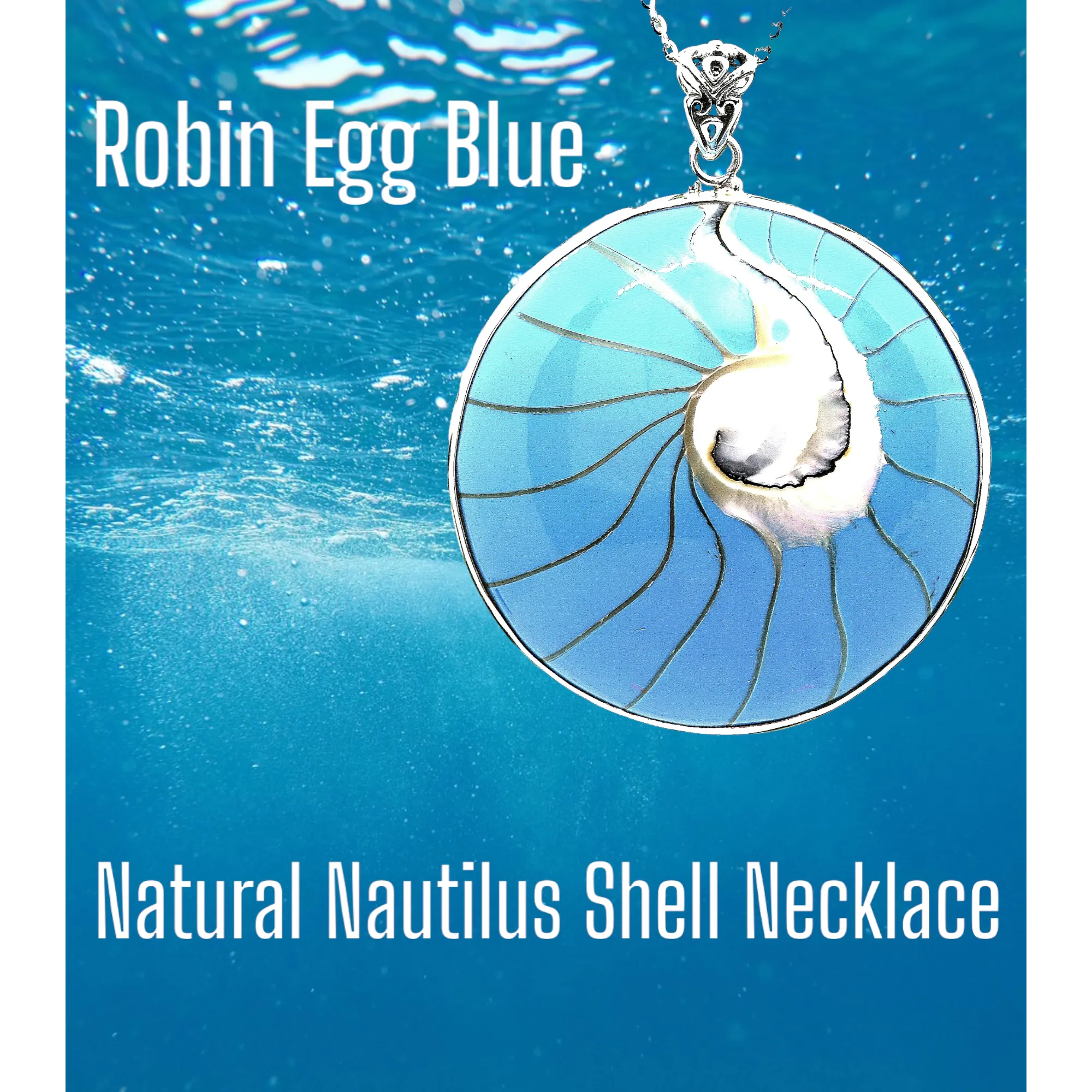 Robin Egg Blue Natural Nautilus Shell Necklace