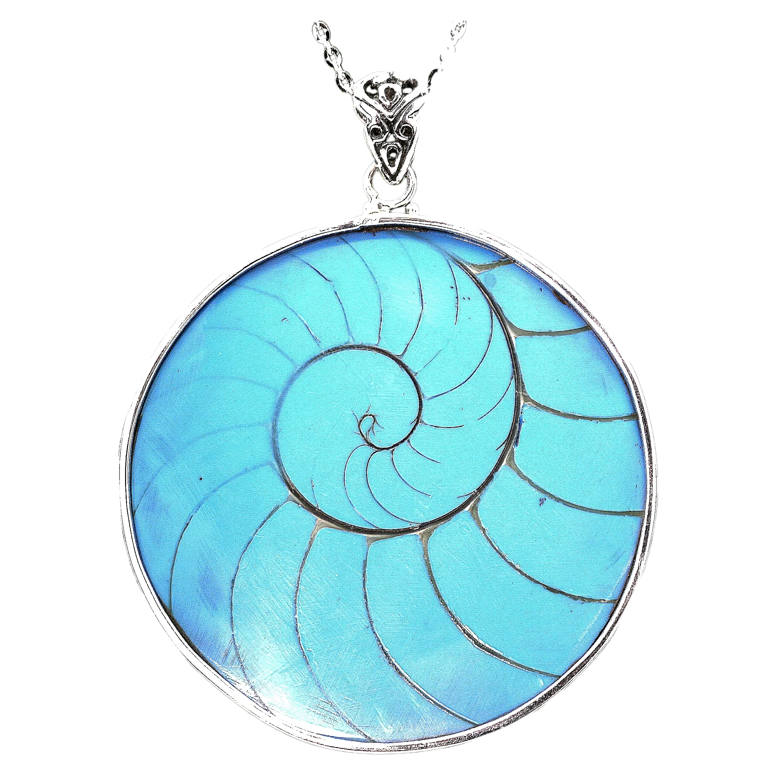 Robin Egg Blue Natural Nautilus Shell Necklace