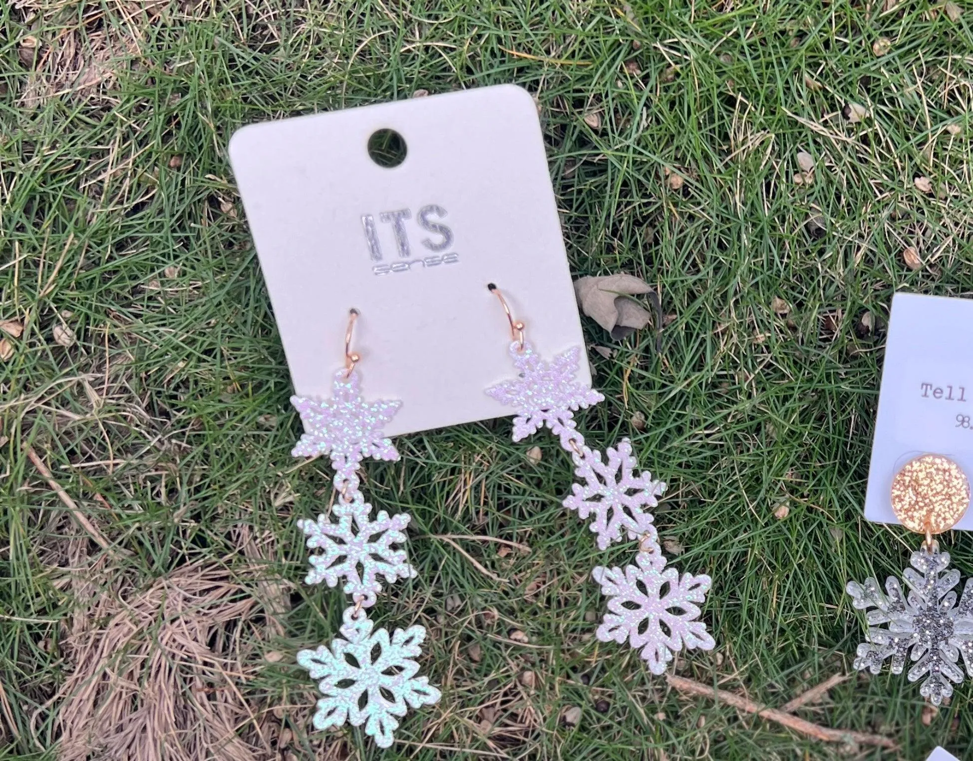 Winter Snowflake Earrings